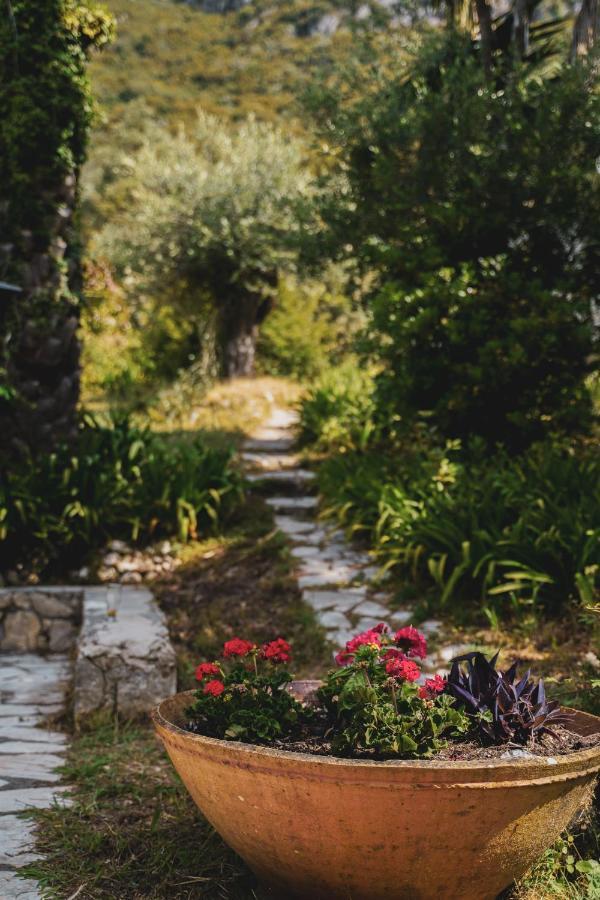 Dimoulitsa Villas Complex Doukades Bagian luar foto